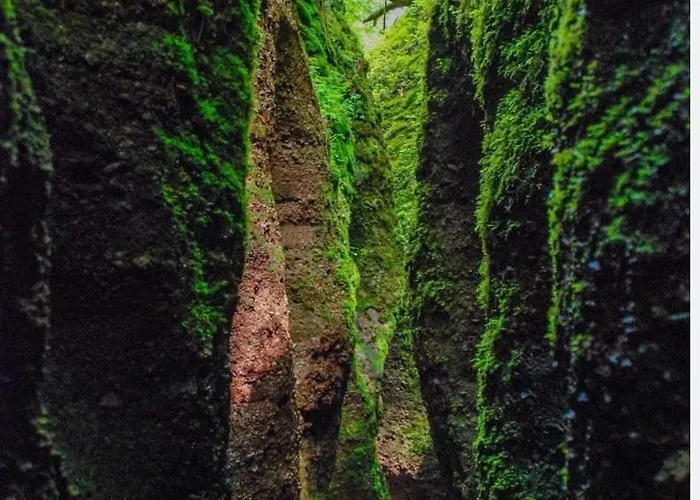 Cosy-chic * 아이제나흐